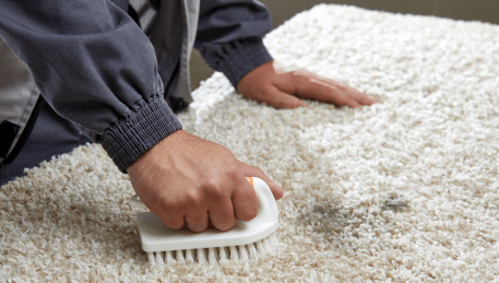 Professional Rug Cleaning Mckinnon